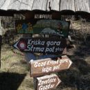 Tukaj sem že na pol poti na vzponu proti gozdu .