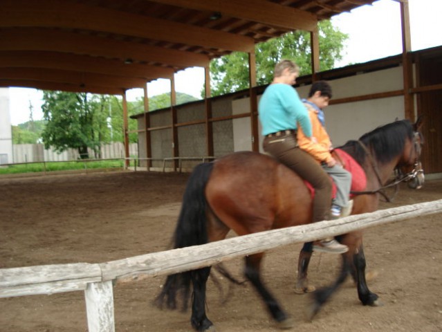 V tem zavodu imajo tudi konjušnico kjer se  tudi na konjih poizkušajo rehabilitirati .Nam 