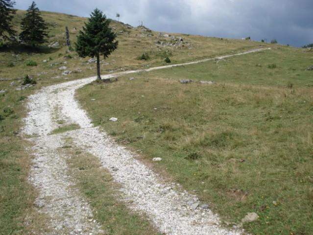 Velika planina & Stari grad 4.8.2007 - foto