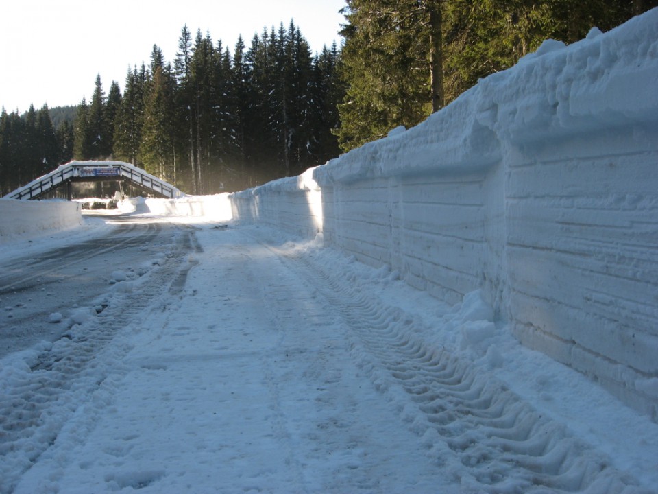 Pokljuka in sneg ob cesti