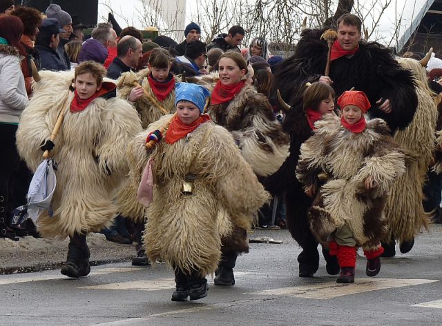 Cerkniški pustni karneval 14.2.2010 - foto