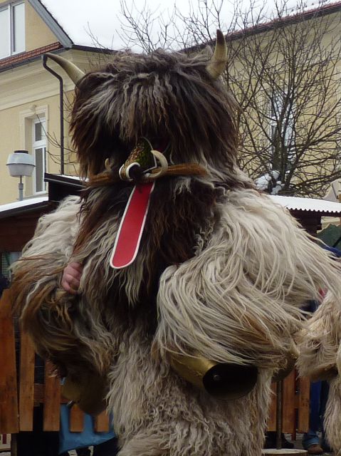 Cerkniški pustni karneval 14.2.2010 - foto