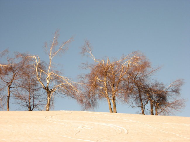 Breze - povečava