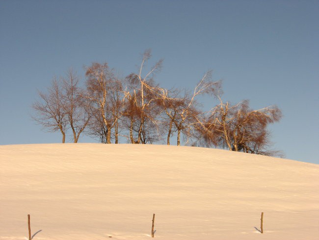 Breze še enkrat v zahajajočem soncu.