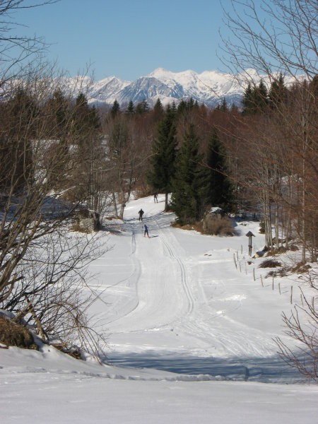 Vojsko 4.2.2007 - foto povečava