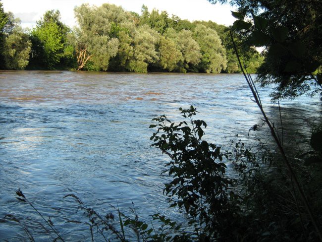 Mura,10.7. - foto povečava