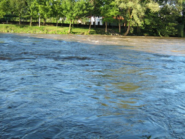 Mura,10.7. - foto povečava