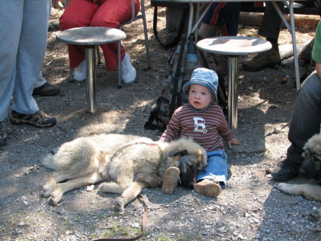 PIVŠKA JEZERA  - foto