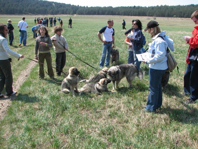 PIVŠKA JEZERA  - foto povečava