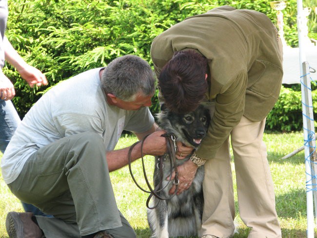 Maribor specialka 2007 - foto povečava