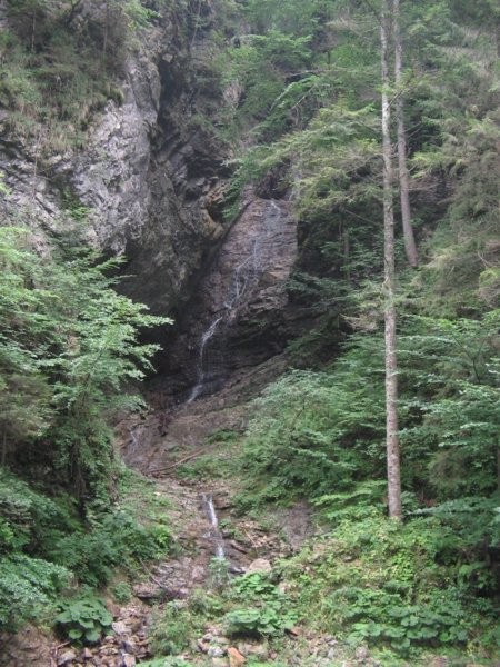 VOJAŠKI MARATON  2005 Celje - Logarska dolina - foto