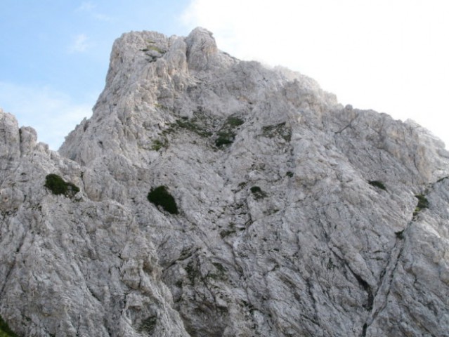 Eden od rogljev in predhonik vrha M.gore