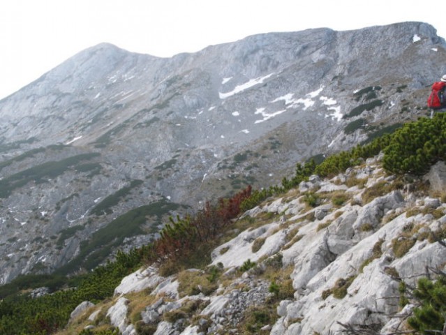 Pogled iz Poljskih devic proti Veliki Zelenici