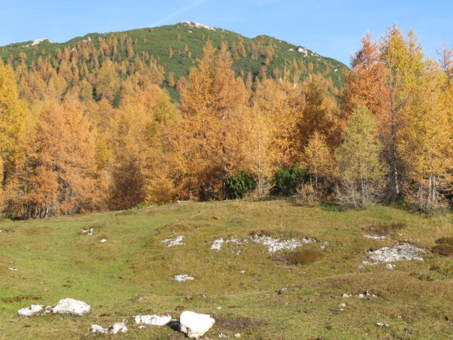 Na planini Polšak