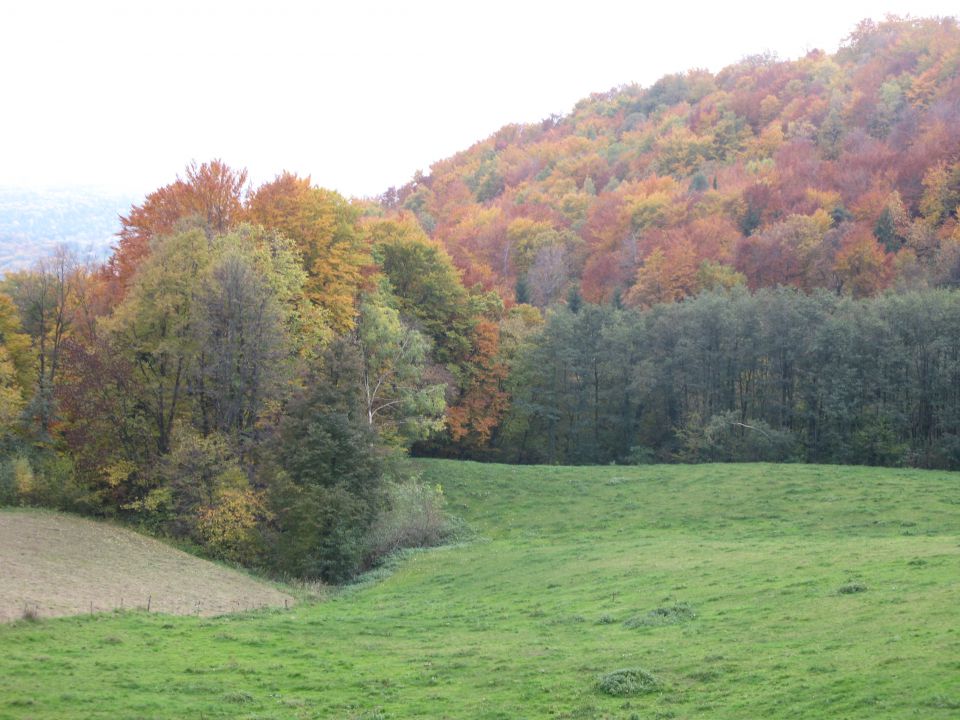 Bistriški vintgar - 23.10.2010 - foto povečava