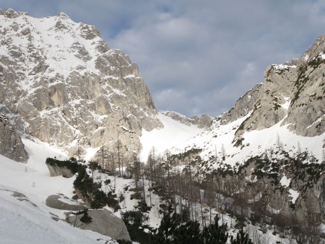 Turno smučanje - 11.02.2011 - foto