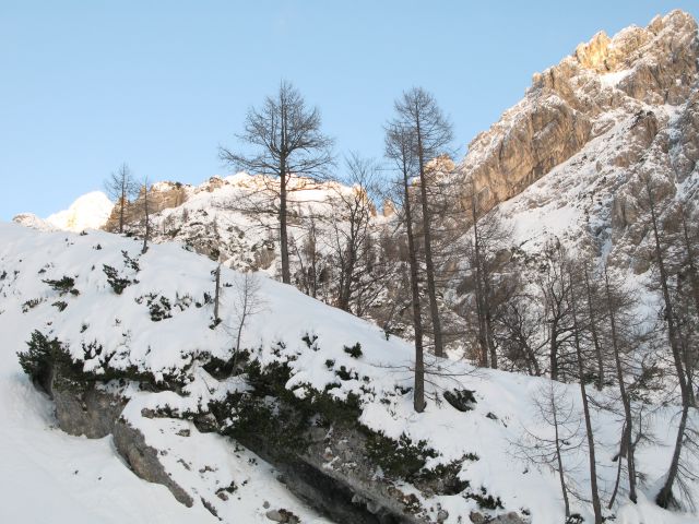 Turska gora - 01.01.2012 - foto