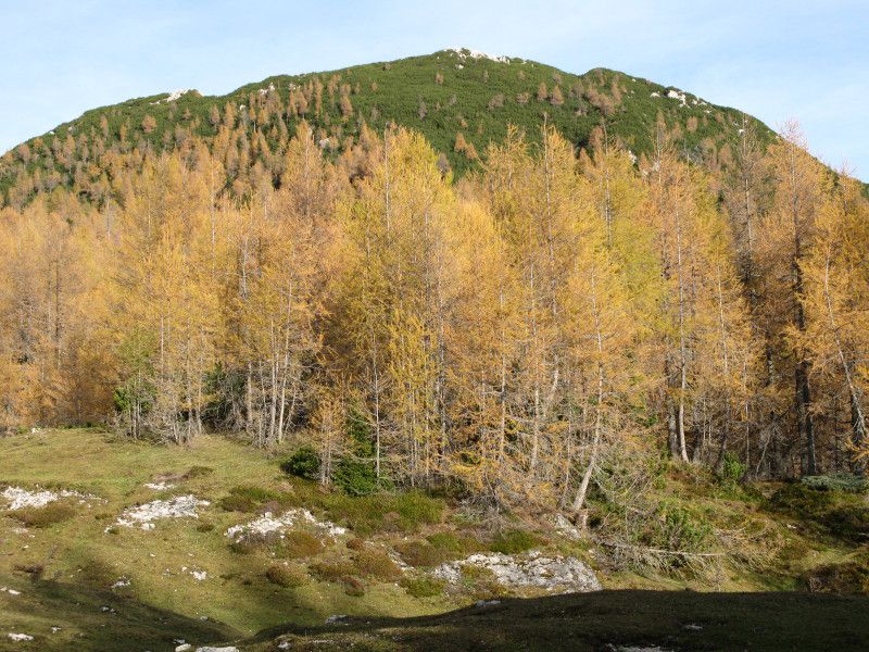 Dleskovška planota - 20.08.2012 - foto povečava