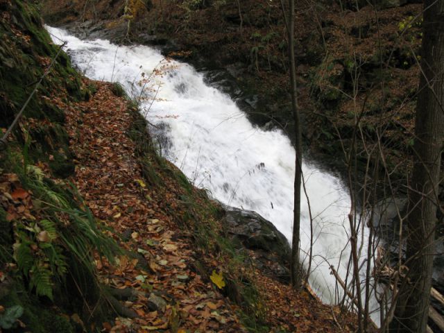 Bistriški vintgar -09.11.2012 - foto