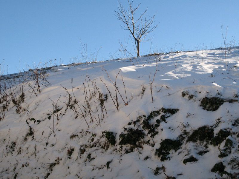 Zima na sončni strani Pohorja - 09.12.2012 - foto povečava