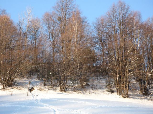 Zima na sončni strani Pohorja - 09.12.2012 - foto