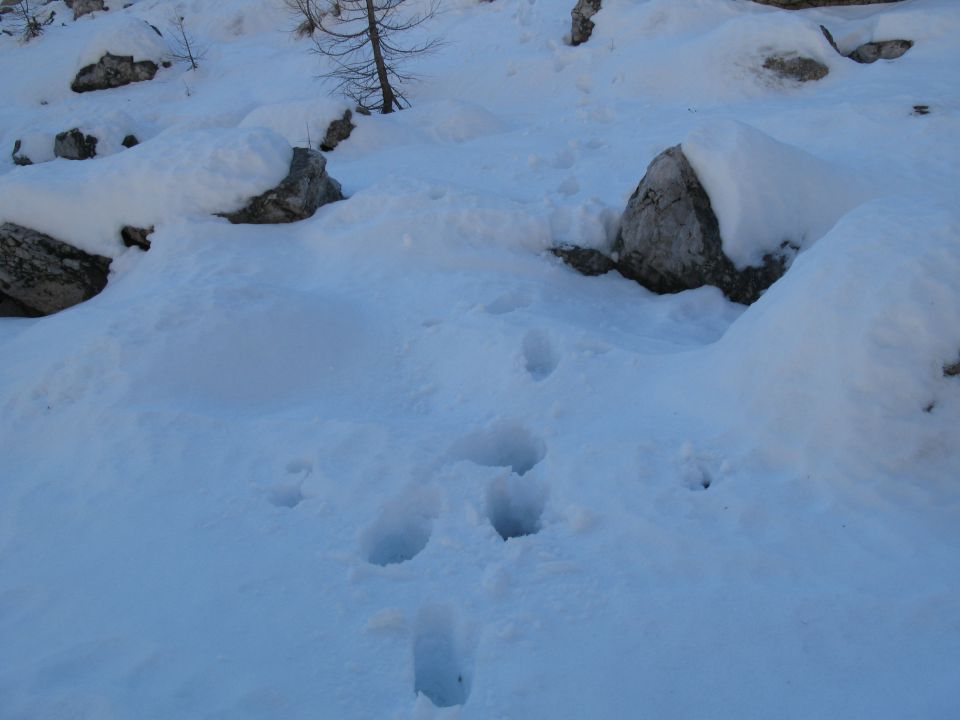 Nad Okrešljem 02.12.2015 - foto povečava