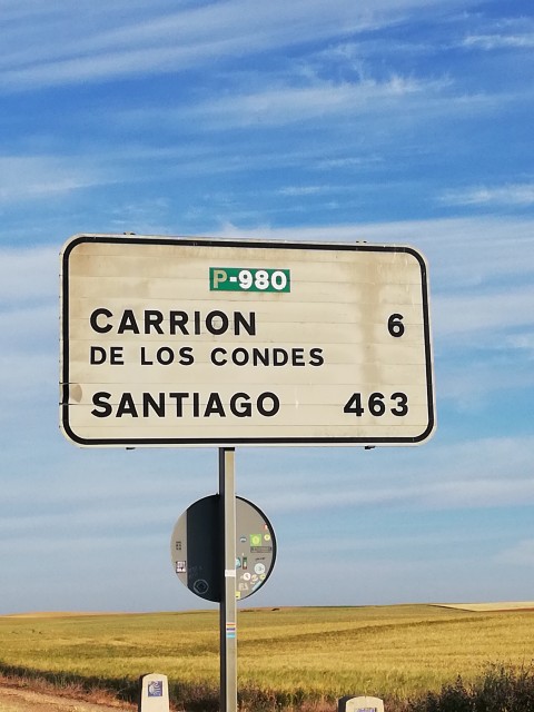 Moj Camino Frances - 02.06.2019 - 14.06.2019 - foto