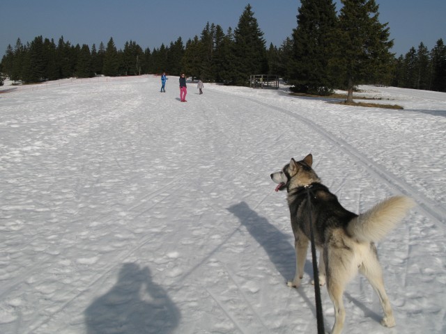 Lovrenška jezera - 25.02.2021 - foto