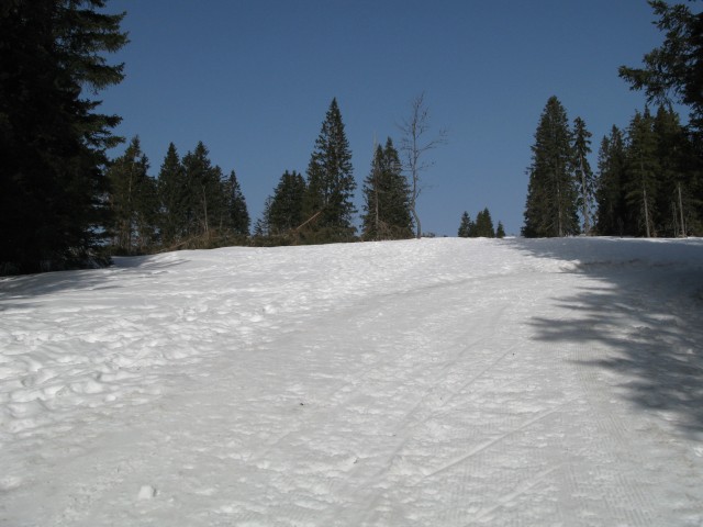 Lovrenška jezera - 25.02.2021 - foto