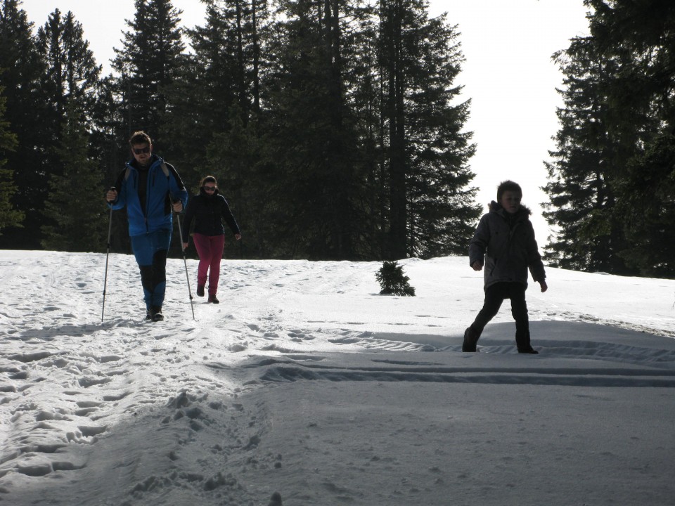 Lovrenška jezera - 25.02.2021 - foto povečava