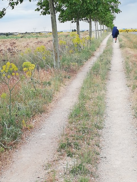 Camino Frances 25.05.2022 - 26.06.2022-1.del - foto