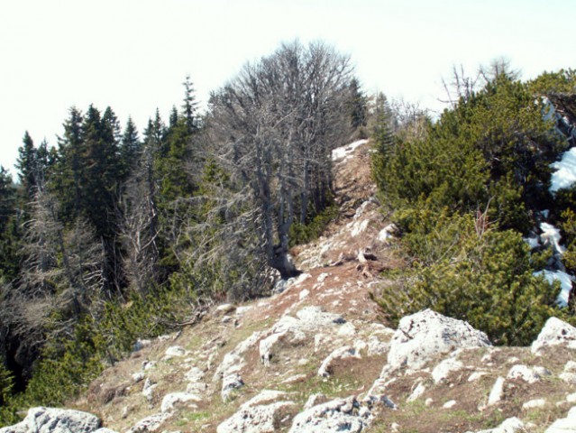 Dobrča 15.04.2007 - foto