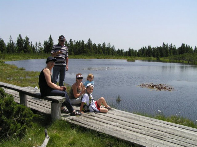 Ribniško pohorje junij 2008 - foto