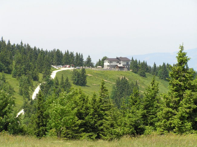 Ribniško pohorje junij 2008 - foto povečava