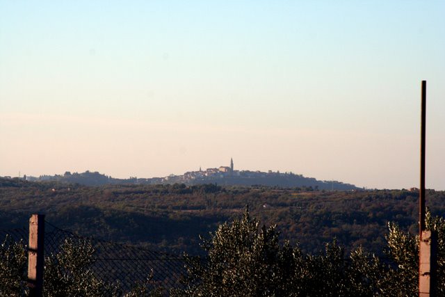 KRKAVCE JOZE - foto povečava