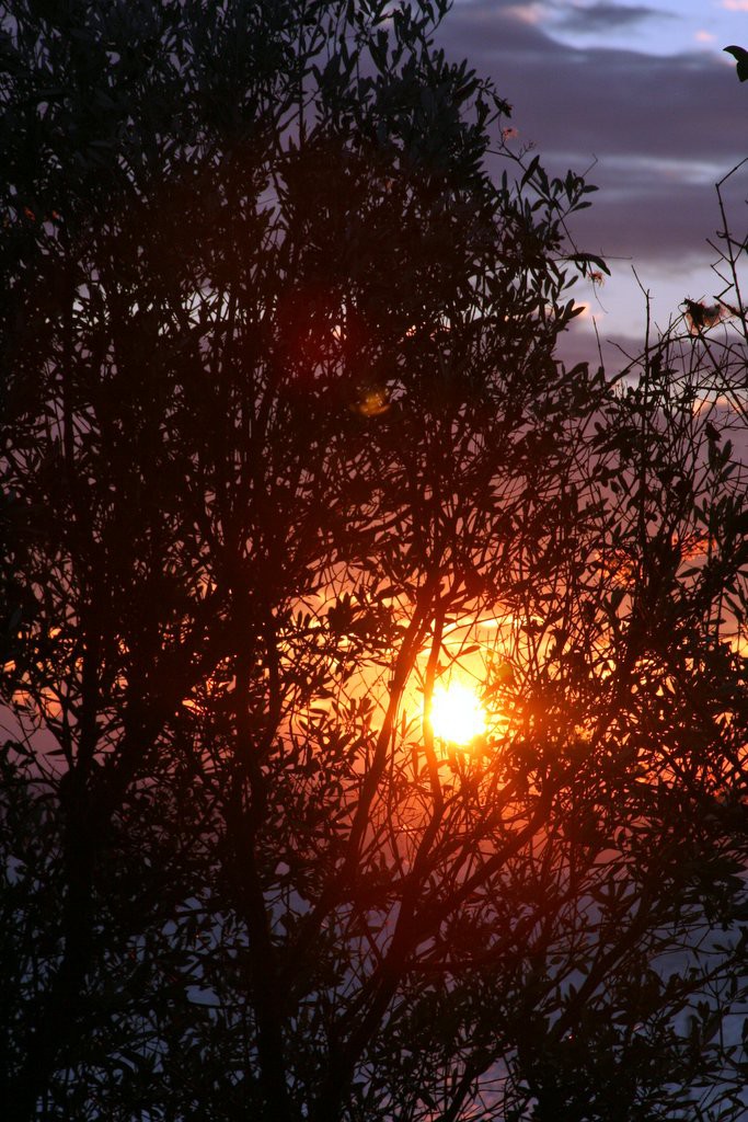 ZAHOD SONCA - foto povečava