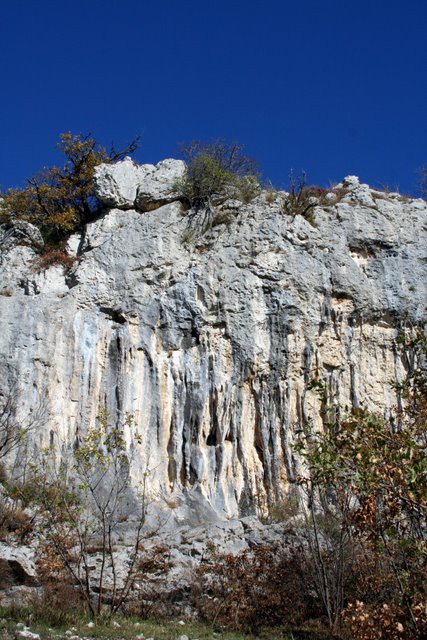 HRASTOVLJE JOZE - foto