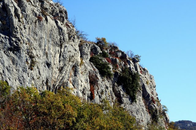 HRASTOVLJE JOZE - foto