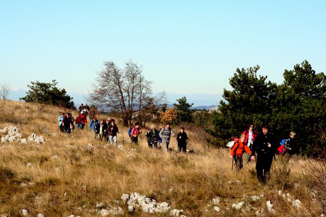 HRASTOVLJE JOZE - foto povečava