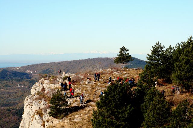 HRASTOVLJE JOZE - foto