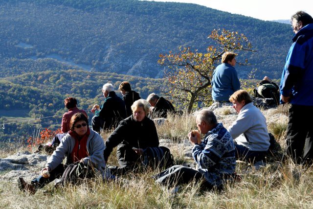 HRASTOVLJE JOZE - foto