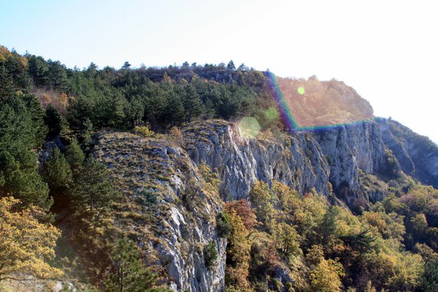 HRASTOVLJE JOZE - foto