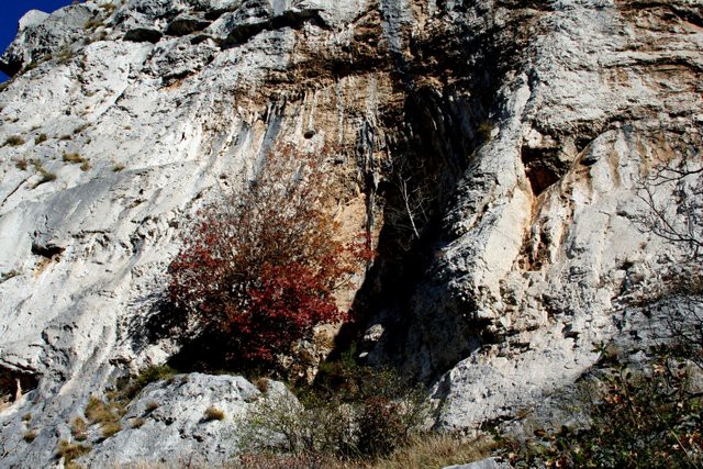 HRASTOVLJE JOZE - foto