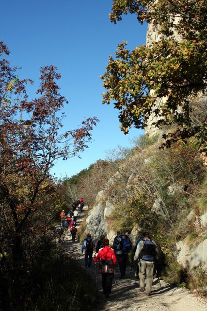 HRASTOVLJE JOZE - foto