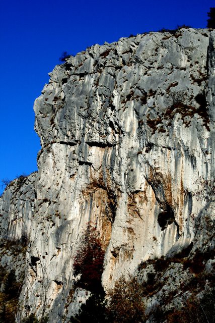 HRASTOVLJE JOZE - foto