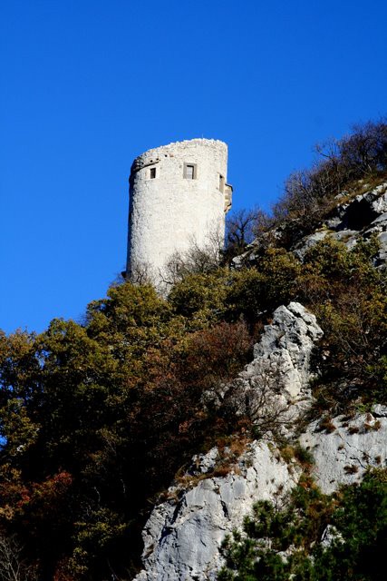 HRASTOVLJE JOZE - foto
