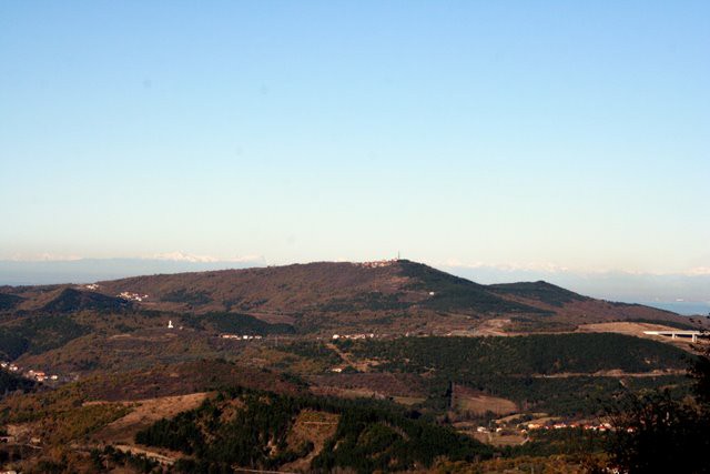 HRASTOVLJE JOZE - foto