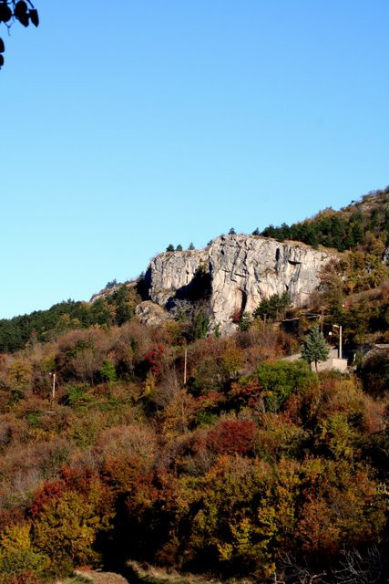 HRASTOVLJE JOZE - foto