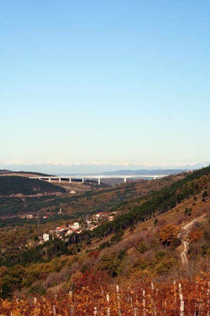 HRASTOVLJE JOZE - foto