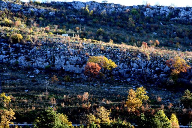 HRASTOVLJE JOZE - foto